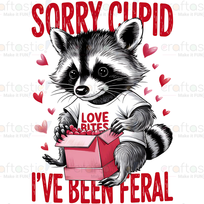 Valentine Racoon 10