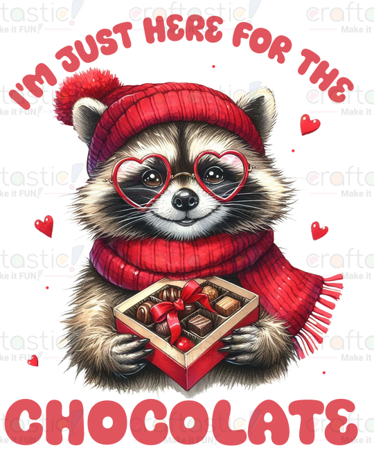 Valentine Racoon 2