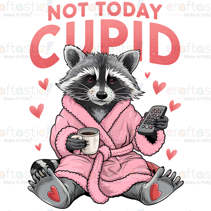 Valentine Racoon 8